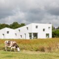 kerinvach_08_13-04