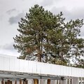 ecole_grd_quevilly-013